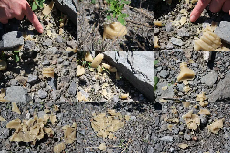 Image de nouvelle île