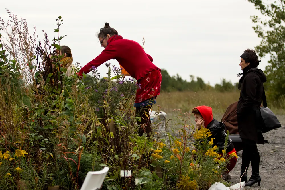 Image de nouvelle île