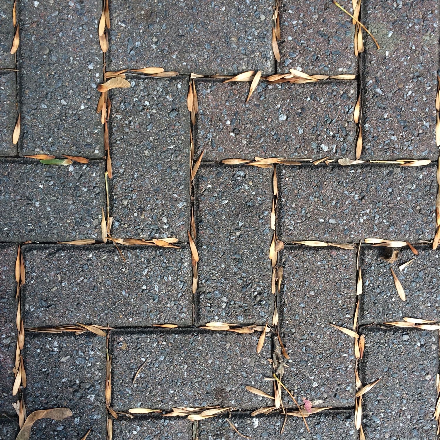 Mind spaces par Teja Gavankar