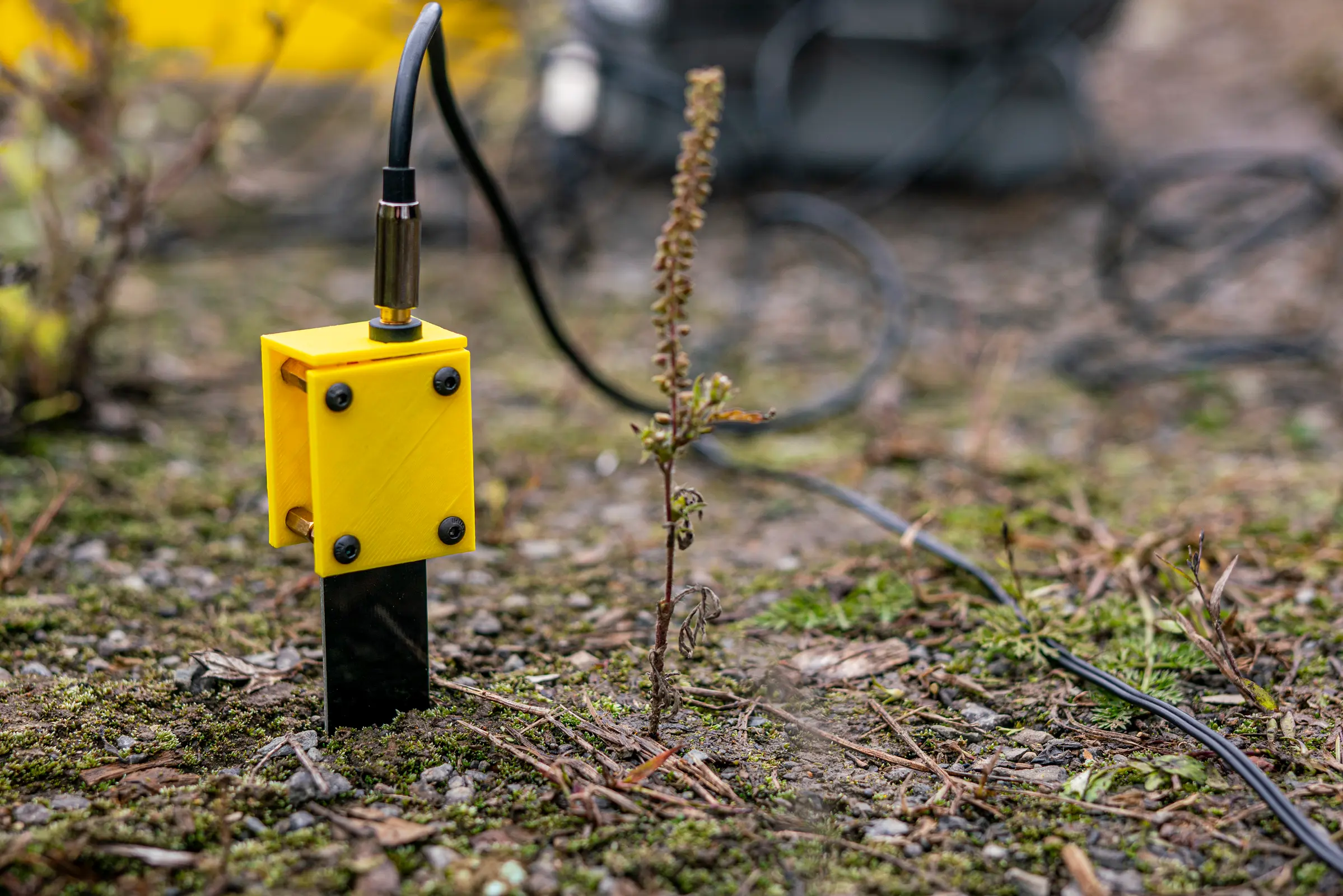Image de nouvelle île