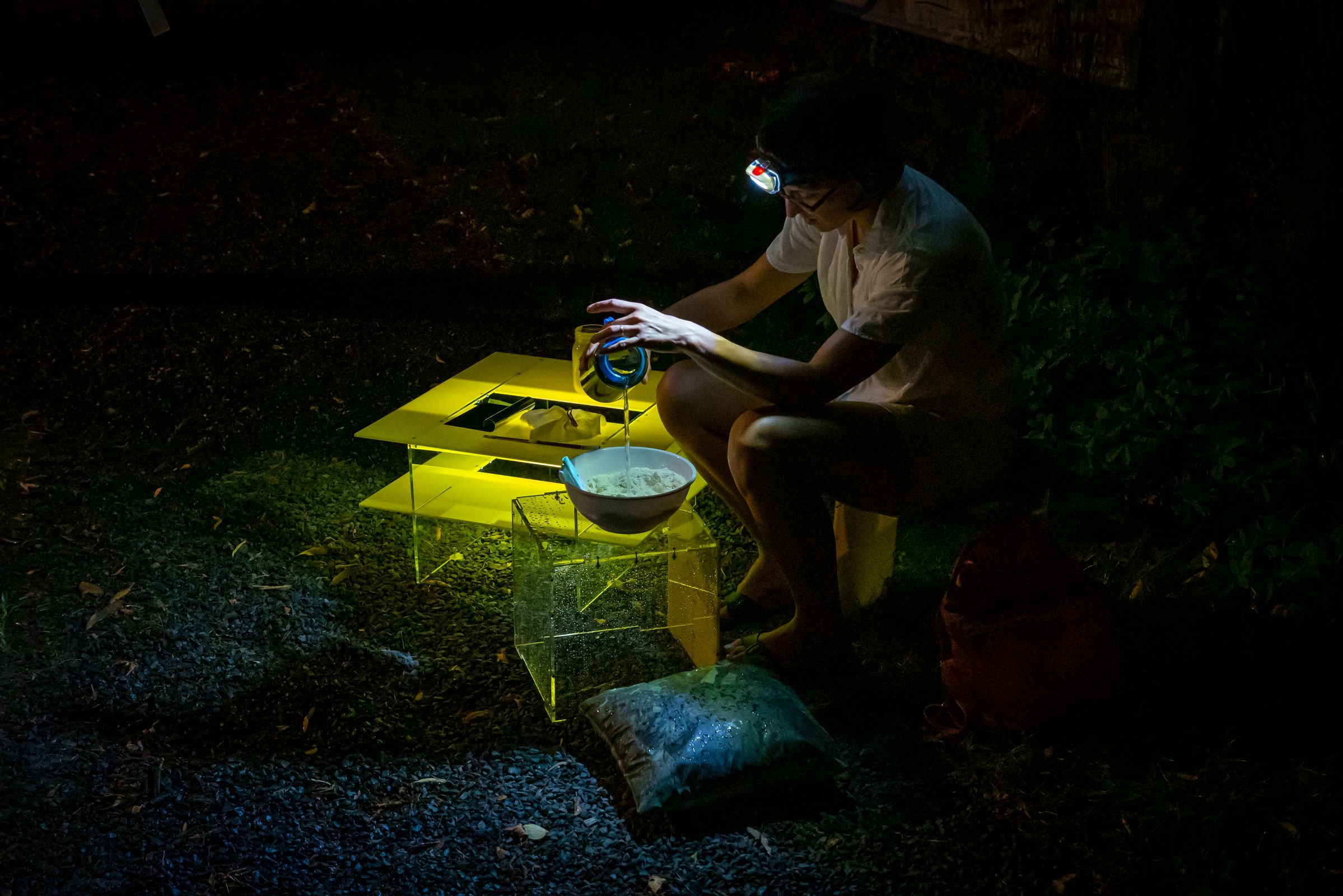 Dans le parc, le soir