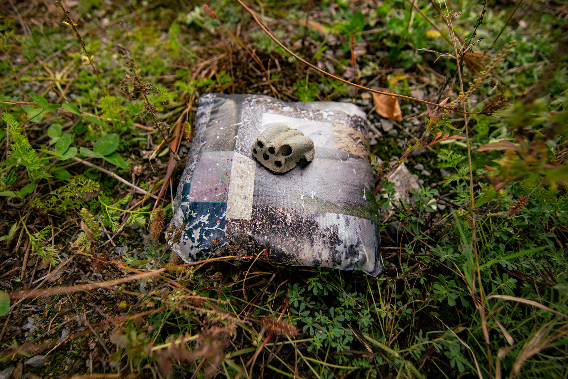 Laval Futur, photo d'Alexis Bellavance