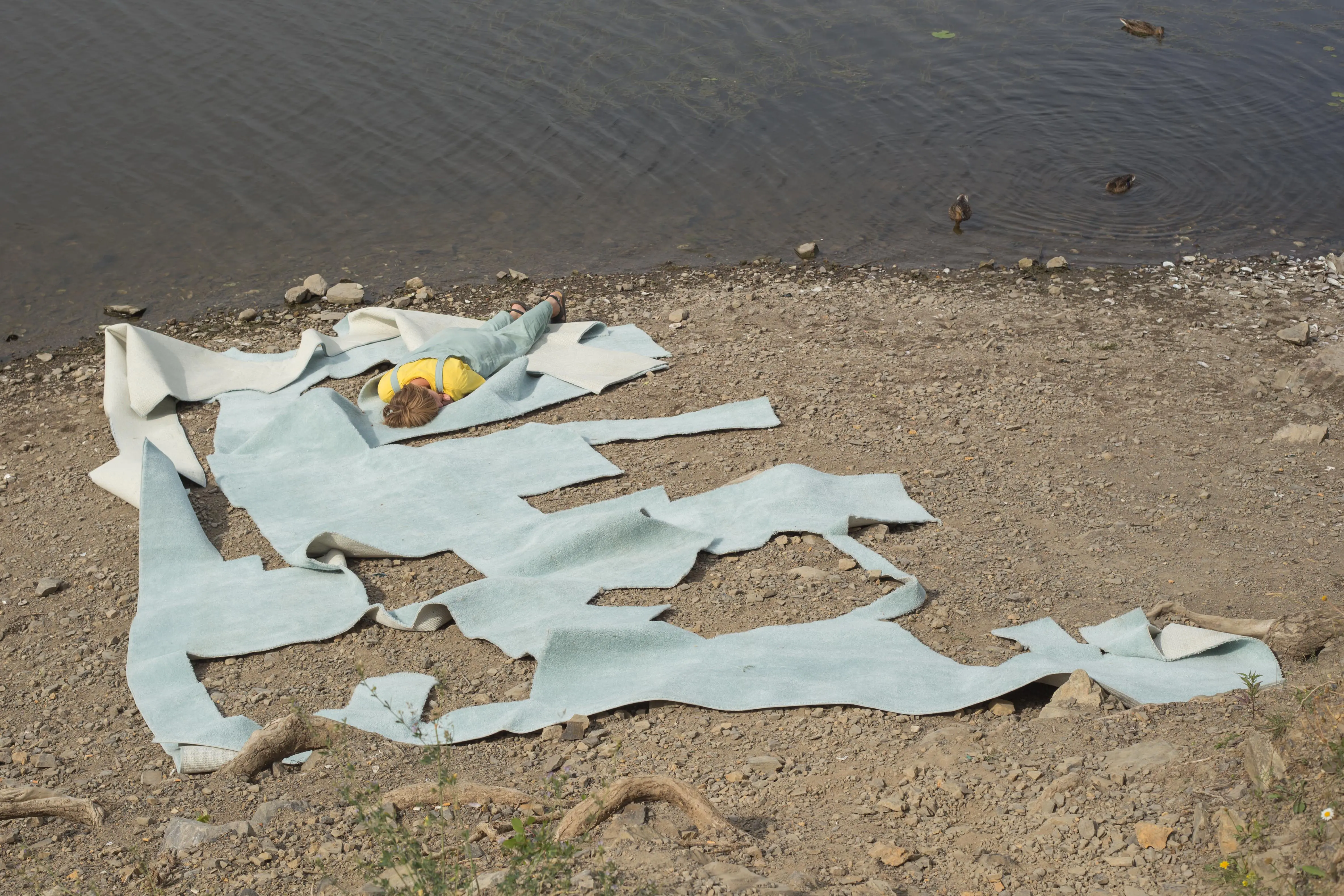 Image de nouvelle île