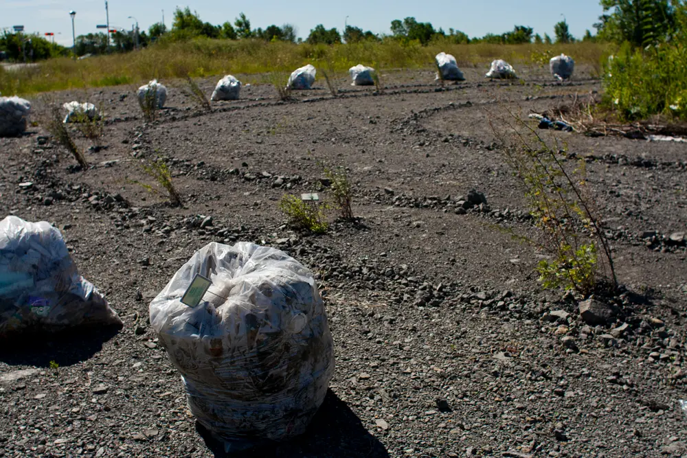 Image de nouvelle île