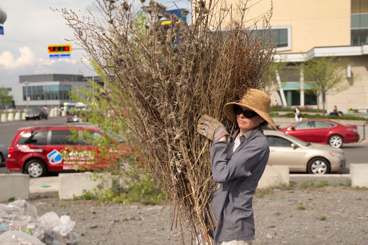 De fond en comble par Jaden Scholes