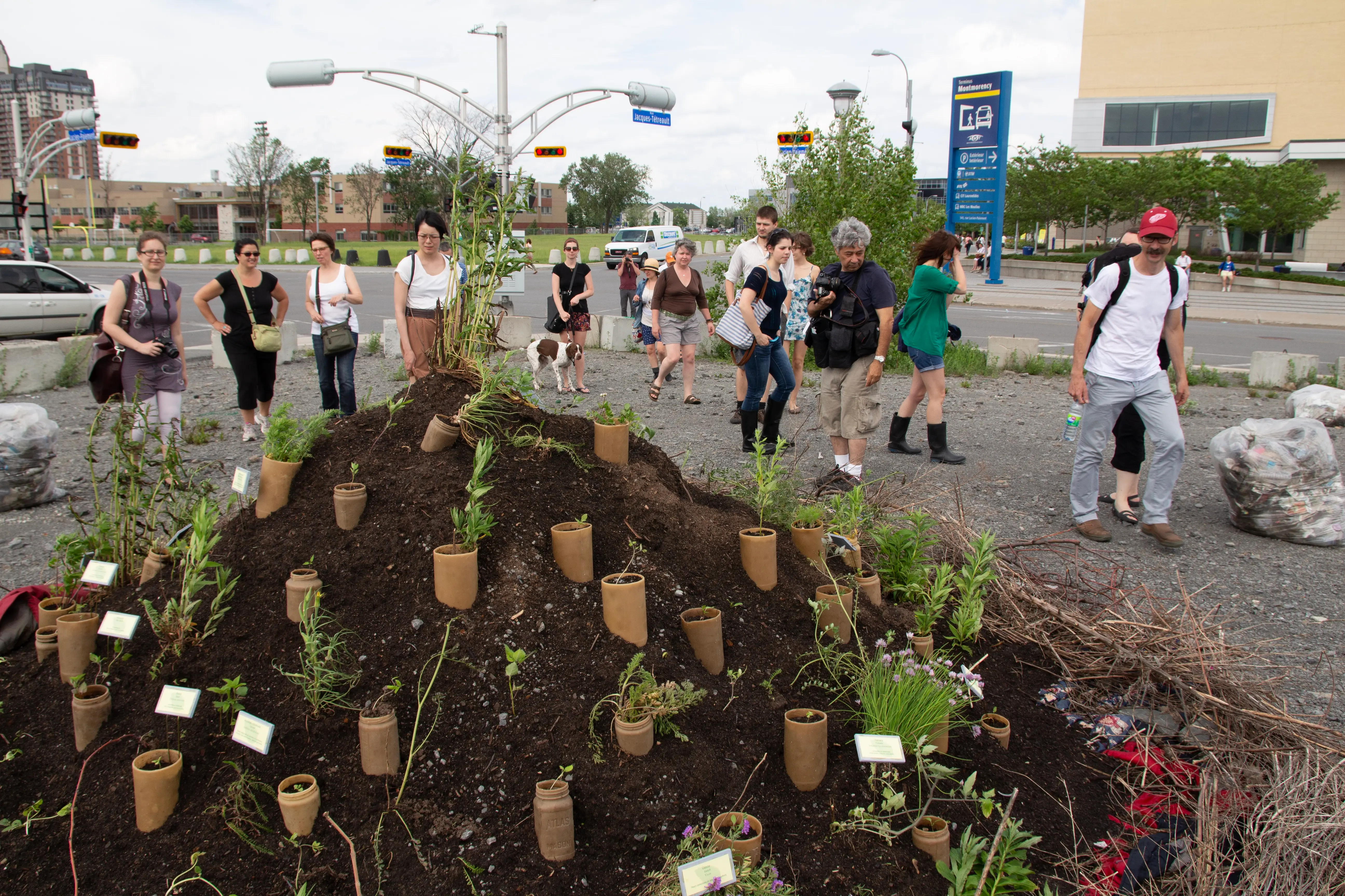 Image de nouvelle île