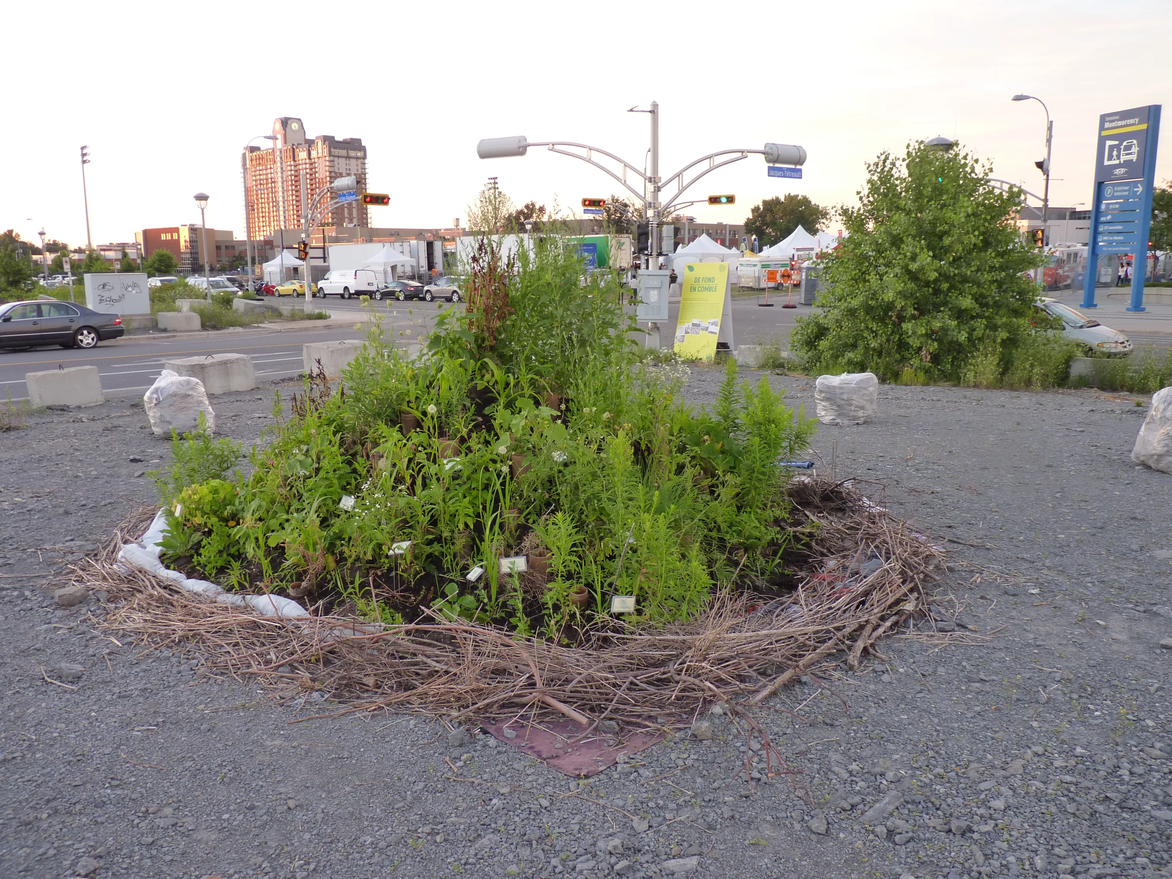 Image de nouvelle île