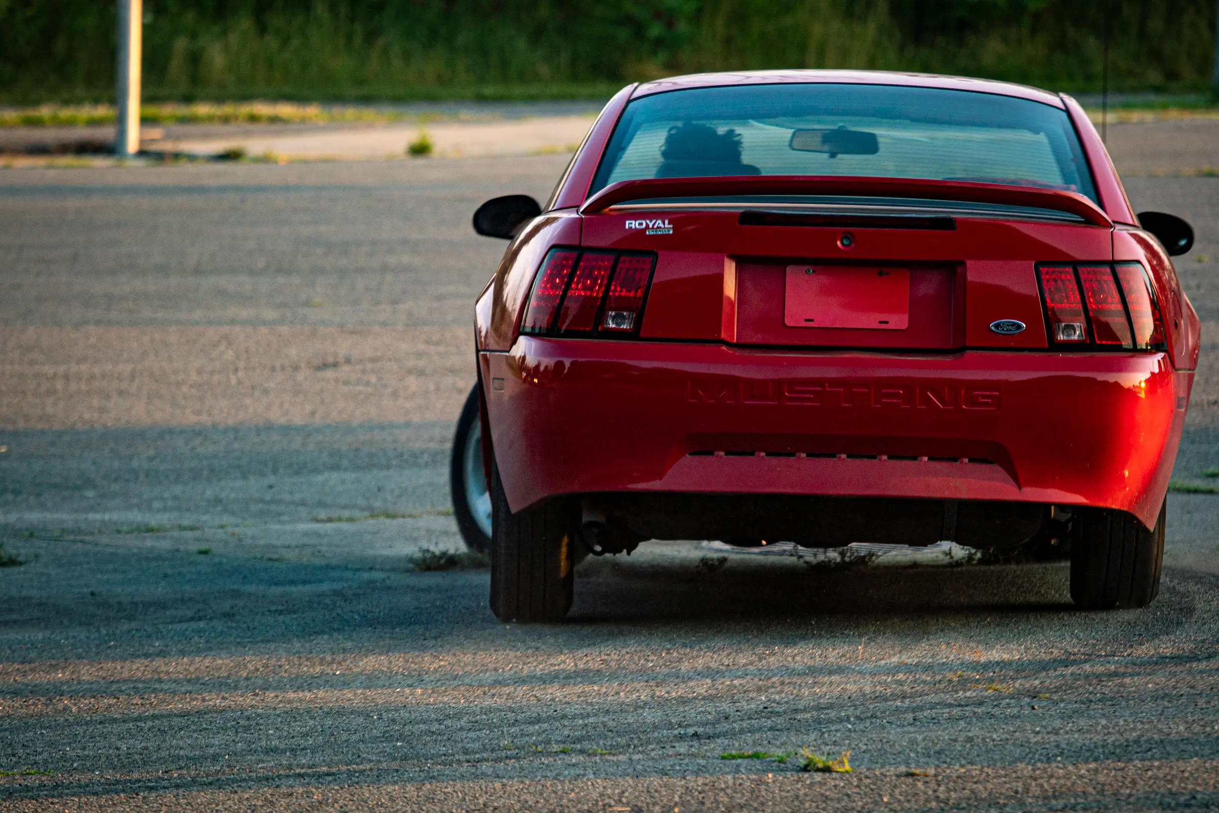 Photo d'Alexis Bellavance