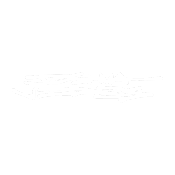 Faint white stylized text reading "JOSHUA VIDES" on a white background.