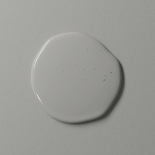 Portland Paint Samples Portland — N°1010 — Palette - Eco-Friendly Paint