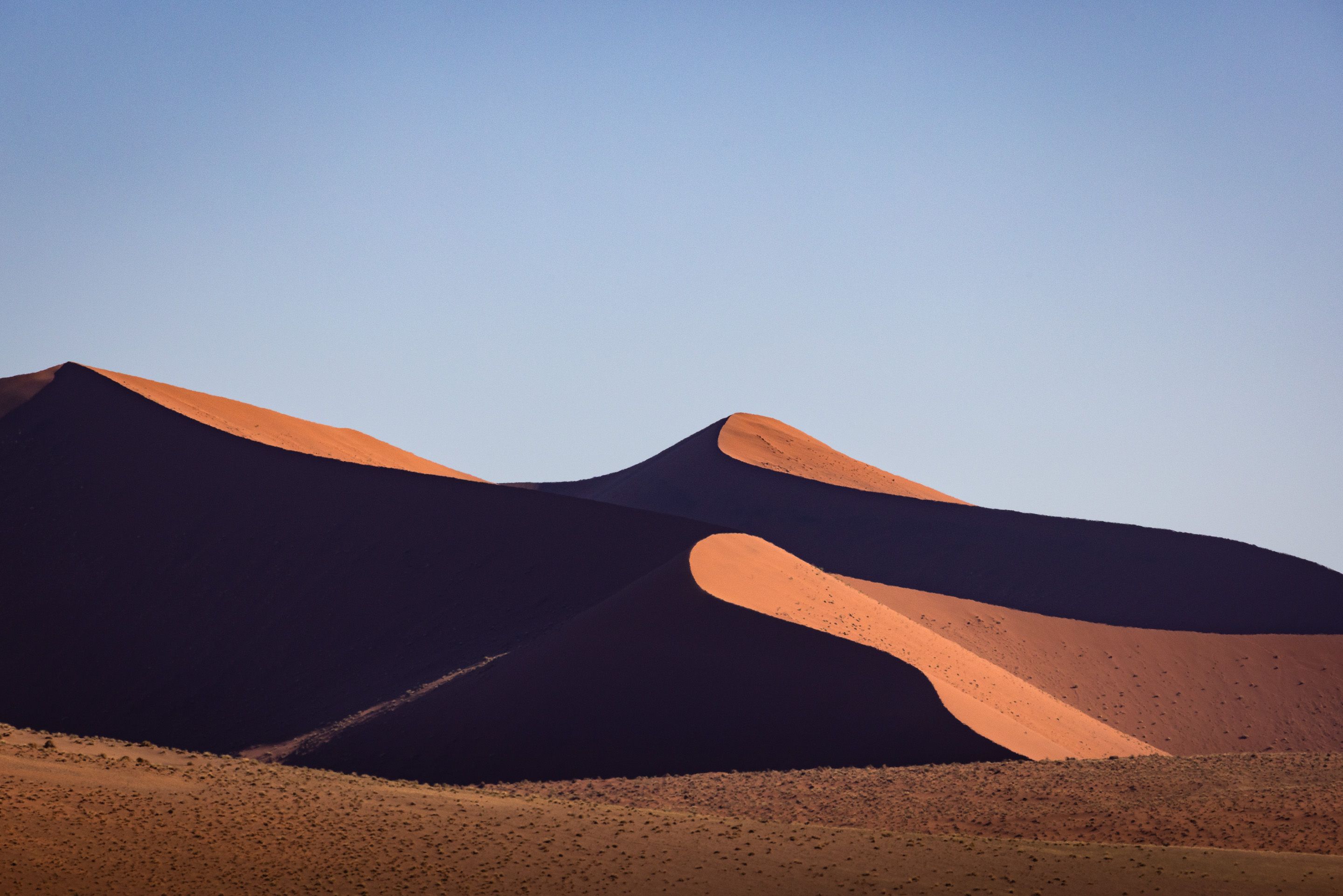 Velvet Dunes