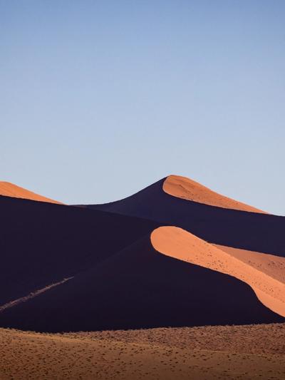 Velvet Dunes