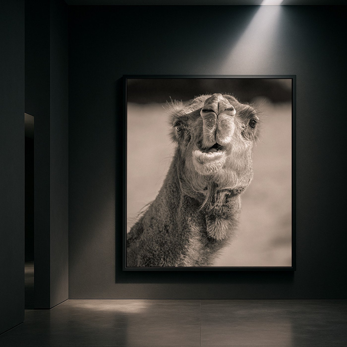 The Listner — abstract landscape photograph by Olivier Staub