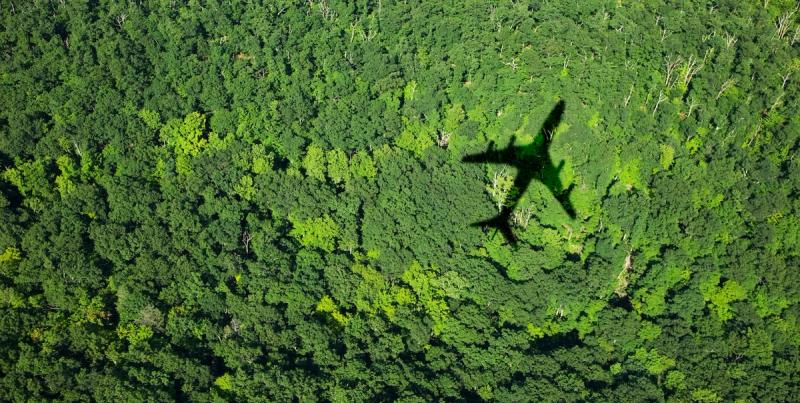 Shadow of an airplane cast over a dense green forest canopy seen from above
