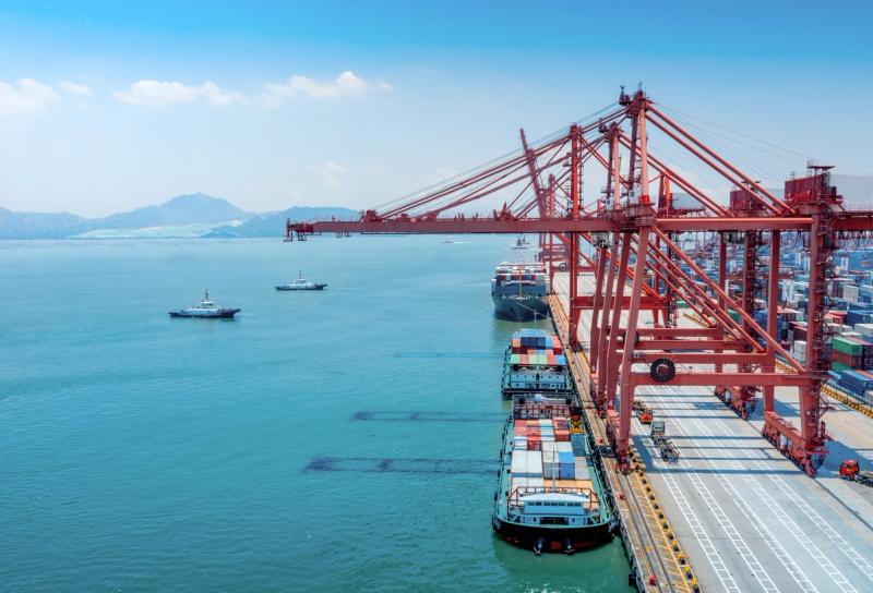 Container ships dock at a busy port terminal with industrial cranes and cargo handling equipment.