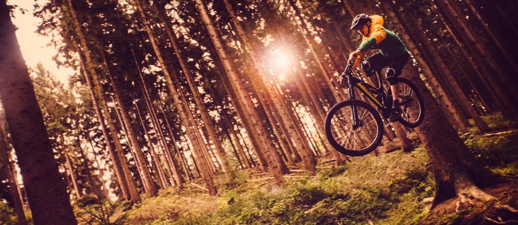 Mountain biker in a green jersey rides downhill through a sunlit pine forest with motion blur.