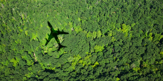 Aerial view of the shadow of an airplane cast over a dense green forest canopy