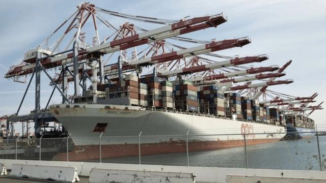 Container ship OOCL Egypt docked at a port terminal with rows of red gantry cranes loading stacked shipping containers