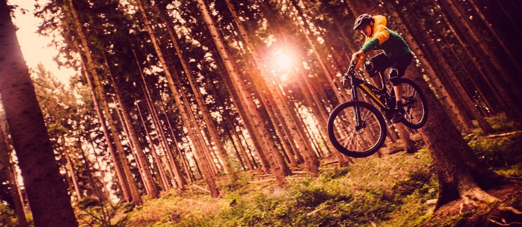 Mountain biker jumping through a sunlit pine forest