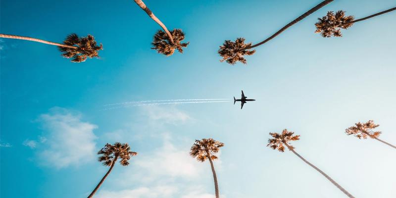 Worm's-eye view of an airplane and contrail in a blue sky framed by tall palm trees