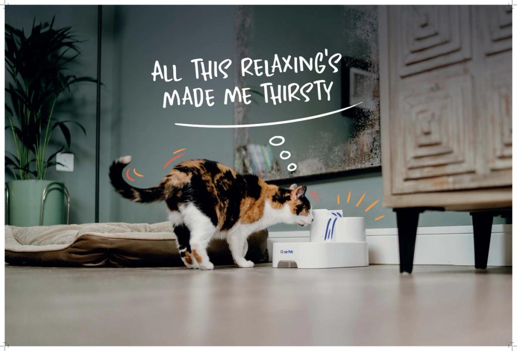 Calico cat approaching a Closer Pets water fountain with playful text overlay
