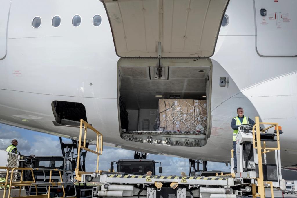 Ground crew unloading palletized cargo from the belly hold of a parked widebody freighter aircraft