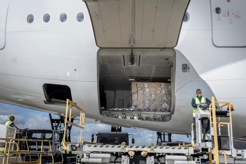Ground crew unloading palletized cargo from the belly hold of a parked widebody freighter aircraft