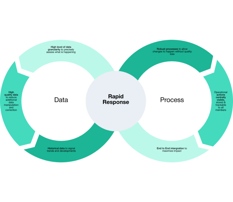 Two interlocking circles diagram linking Data and Process around a central Rapid Response goal for resilient supply chains