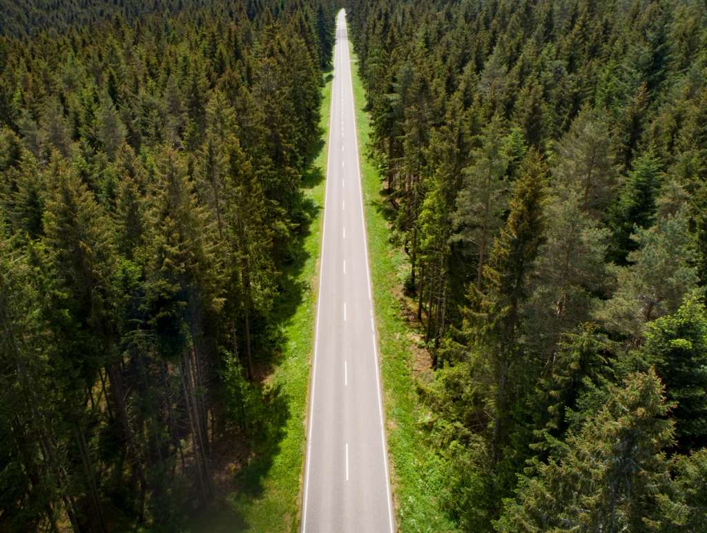 Straight road with white center lines cutting through a dense forest, viewed from above.