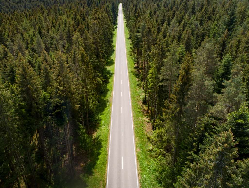 Straight road with white center lines cutting through a dense forest, viewed from above.