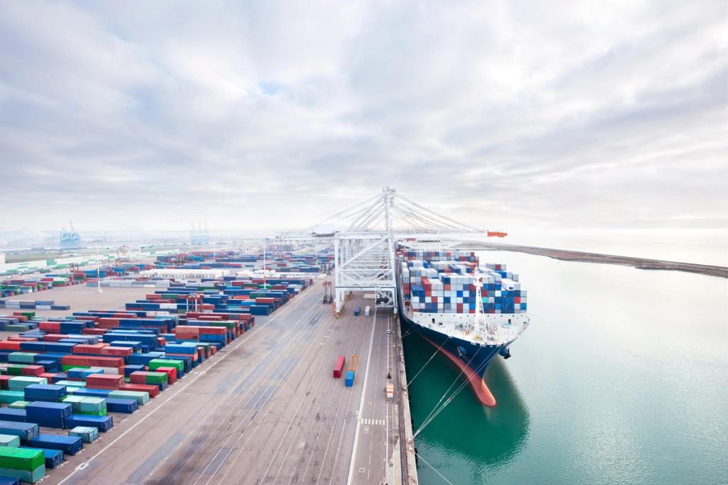 Cargo container ship docked at a shipping port being loaded with shipping containers.