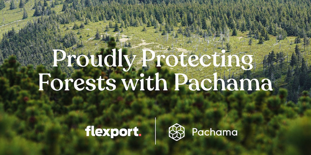 Forested green hillside banner reading Proudly Protecting Forests with Pachama, Flexport and Pachama logos