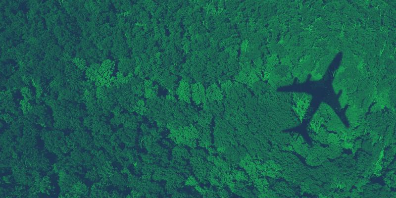Aerial of dense green forest with the shadow of an airplane cast across the canopy, green-tinted