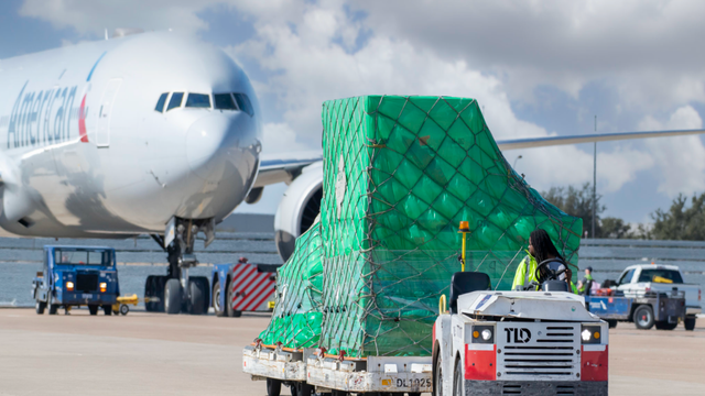 Air freight pallet wrapped in green netting on a tug trailer beside an American Airlines jet on the tarmac