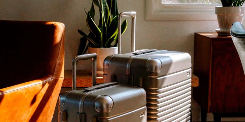 Two silver hardshell suitcases beside a tan leather chair and snake plant in a sunlit room