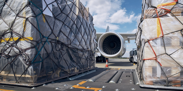 Netted cargo pallets being loaded onto a cargo airplane on the tarmac, illustrating strategic air freight