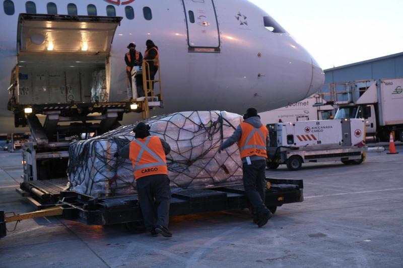 Workers in orange Cargo vests load a netted pallet of freight into an Air Canada Cargo aircraft at dusk