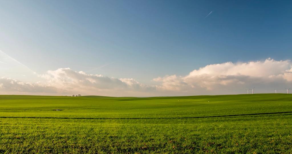 Green rolling field under a blue sky with scattered clouds and distant wind turbines on the horizon