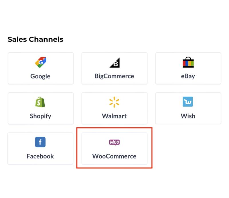 Sales channel picker with Google, Shopify, Facebook and WooCommerce tiles, WooCommerce highlighted