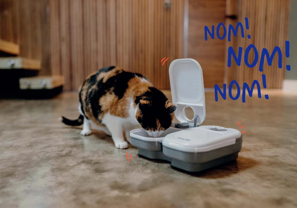 Calico cat eating from a white automatic pet feeder with 'NOM!' text overlay