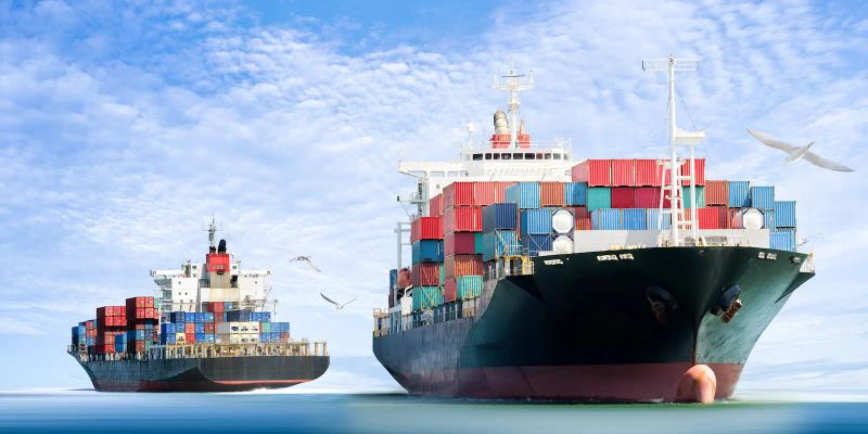 Two container ships at sea under a blue sky, seagulls flying, one bow facing the camera.