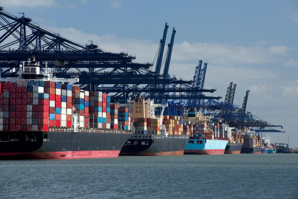Row of container ships berthed beneath ship-to-shore gantry cranes at a busy port terminal