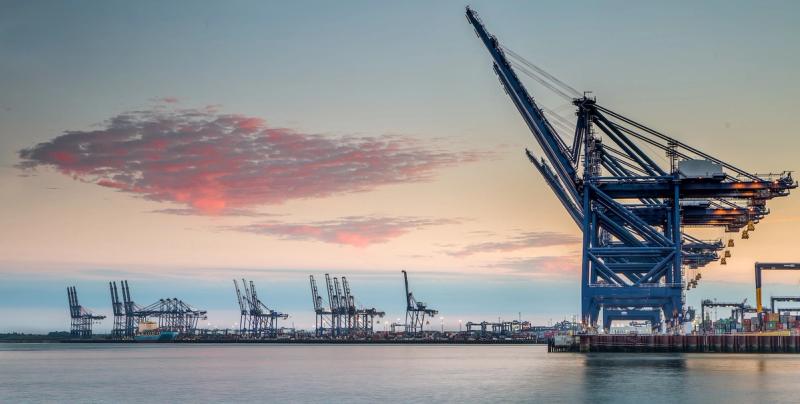 Port skyline at dusk with rows of ship-to-shore gantry cranes along the waterfront under a pink-tinged sky
