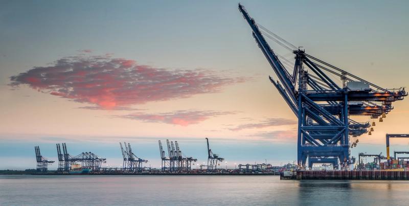 Port skyline at dusk with rows of ship-to-shore gantry cranes along the waterfront under a pink-tinged sky