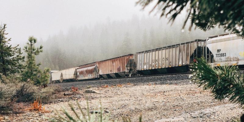 Union Pacific hopper railcars on a track through misty pine forest, viewed past evergreen branches