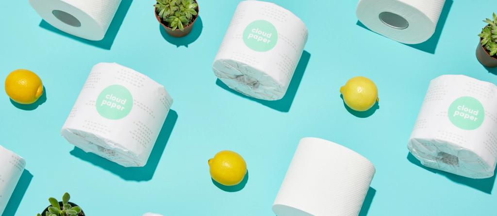 Cloud Paper toilet rolls, lemons, and succulents arranged on a teal background