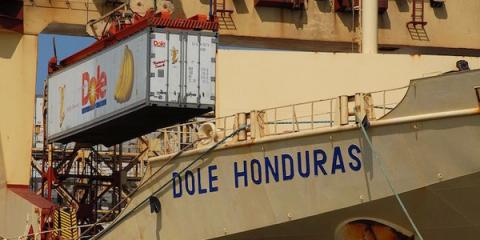 dole-cranes-1
