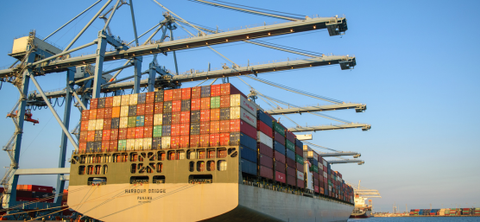 Photo of the container ship Harbour Bridge berthed and worked by a row of gantry cranes in evening light.