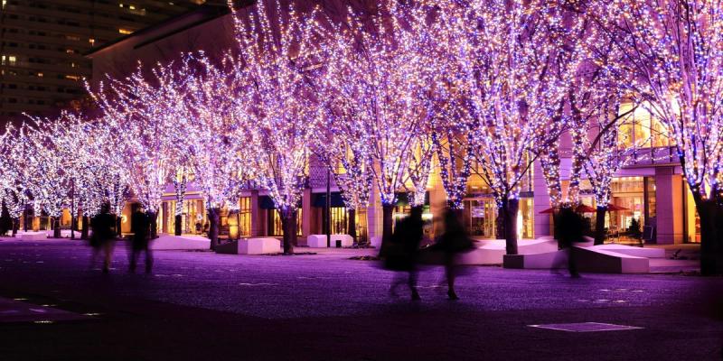 Trees wrapped in purple holiday lights line a plaza at night as people walk by