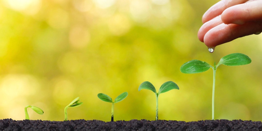 Nurturing Passive Talent: Why is It So Important?